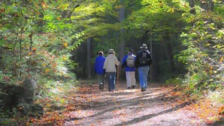 Ilustračn&iacute; sn&iacute;mek. Zdroj: Pixabay / CC0