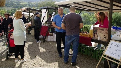 Přijďte ochutnat víno, mošt nebo burčák z okolních vinic! V Kadani chystají tradiční Svatováclavské vinobraní