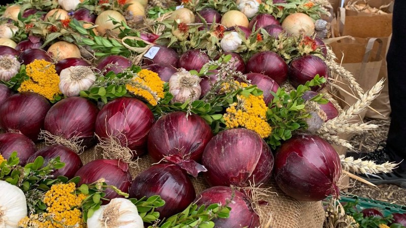 Slavnosti cibule v Račeticích. Foto: Jitka Fárová