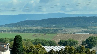 FOTO OD VÁS: Obrazec v poli u Havraně na Mostecku baví projíždějící řidiče