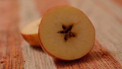 Novoročn&iacute; vykročen&iacute; na Lounsku: Z Lubence do Libyně za tradicemi a požehn&aacute;n&iacute;m