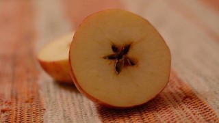 Ilustračn&iacute; foto: Pixabay / CC0