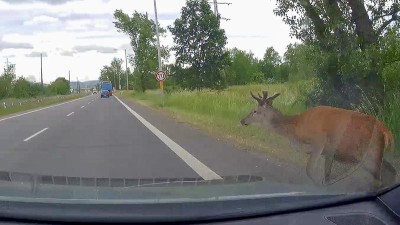 Těsně před srážkou. Foto: e-deniky.cz