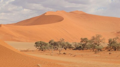 Africká krása v muzeu: Přijďte na výstavu o Namíbii