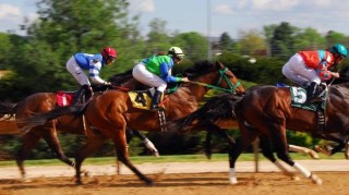 Ilustračn&iacute; sn&iacute;mek. Zdroj: Pixabay / CC0