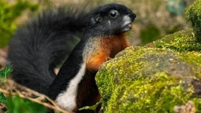 TýDen Země nabídne školám slevu na vstup do děčínské zoo nebo výuku