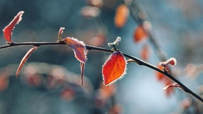 VÝSTRAHA: Meteorologové varují před nočními mrazy. Ty mají zasáhnout i Ústecký kraj