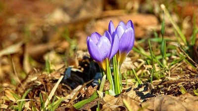 Martin dá sbohem mrakům. Nebe zalije slunce, navíc na delší dobu!