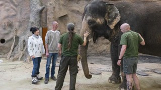 Návštěva kolegů z EHEES v Zoo Ústí nad Labem. Foto: Henk van Bommel