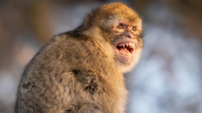 Kam za zv&iacute;řaty po vysvědčen&iacute;? Chomutov chyst&aacute; krmen&iacute; &scaron;elem, Děč&iacute;n v&iacute;t&aacute; prvn&iacute; ml&aacute;dě roku