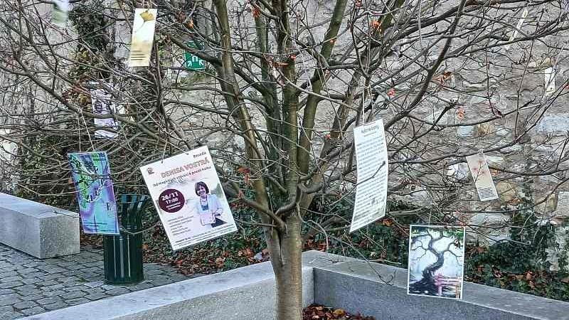 Foto: Městská knihovna Žatec