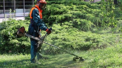 Sekat, nebo nesekat? Města a obce tápou v péči o trávníky, často ani neřeší jejich účel