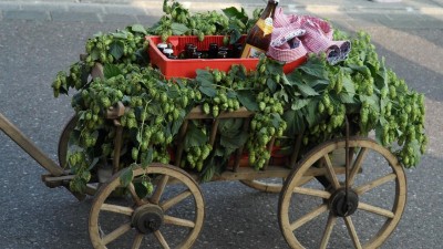 Pořadatelé akcí mají šanci získat finanční podporu. Žatec totiž vyhlásil 2. kolo výzvy na Chmelové léto