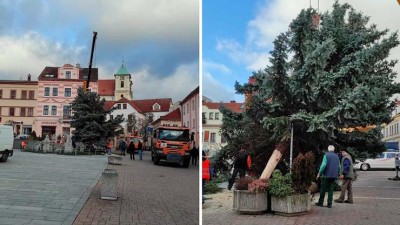 Vánoce jsou zachráněné! Litvínov sehnal v rekordním čase nový strom