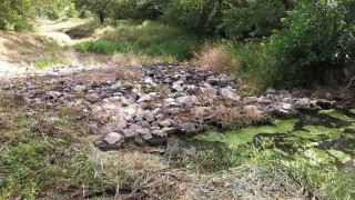 OBRAZEM: Blšanka je téměř bez vody a ryby umírají. Takhle teď říčka vypadá