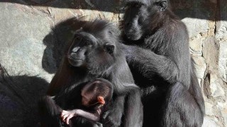 Foto: Zoo Děčín