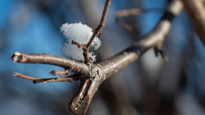 Se zimou je konečná i na horách. „Špatně zaseklá" tlaková výše Fiona přinese až 10 °C