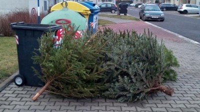 Kam s vánočními stromky? K černým kontejnerům na odpad, radí lidem radnice v Žatci