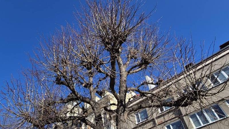Foto: město Louny