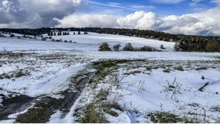 Krušné hory, duben 2024. Foto: Oldřich Hájek