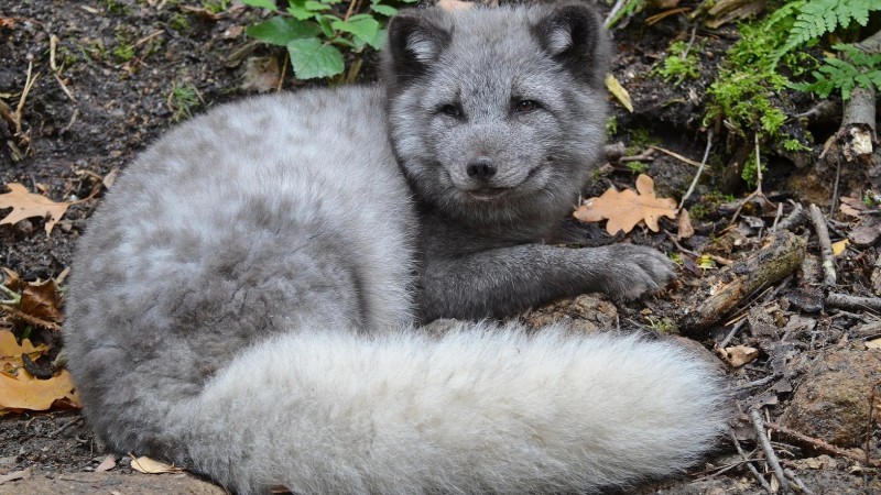 Foto: Zoo Děčín