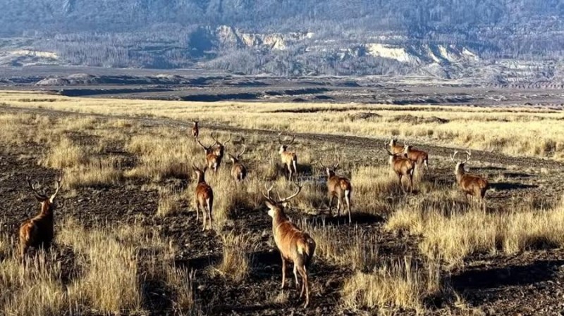 Takto zachytil lokalitu Michal Porte&scaron; z Agentury ochrany př&iacute;rody a krajiny ČR.
