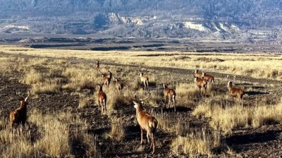 Takto zachytil lokalitu Michal Porte&scaron; z Agentury ochrany př&iacute;rody a krajiny ČR.