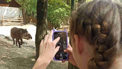 Děčínská zoo má dárek pro školáky za vysvědčení. V pátek mají vstup zdarma!