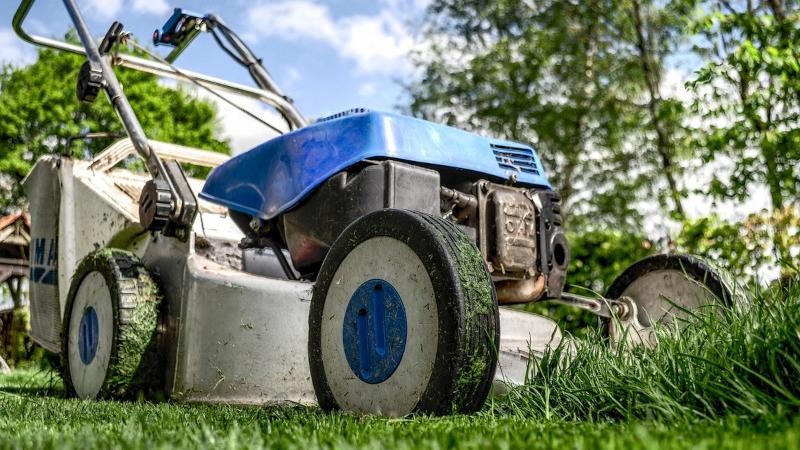 Ilustračn&iacute; sn&iacute;mek. Zdroj: Pixabay / CC0