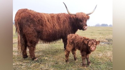 OD SOUSEDŮ: Dnešní dávka roztomilosti! Chomutovský zoopark má nový chlupatý přírůstek