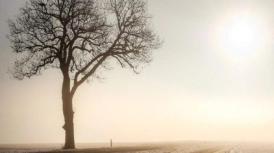 V&Yacute;STRAHA: Meteorologov&eacute; varuj&iacute; před siln&yacute;m větrem, sněhem a z&aacute;vějemi. Na hor&aacute;ch může napadnout až 15 cm