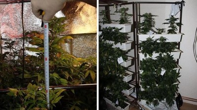 FOTO: Hašiš, extáze, stovky rostlin konopí! Kriminalisté odhalili drogové doupě v rodinném domě na Teplicku