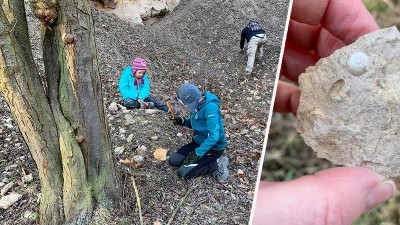 FOTOREPORTÁŽ: Víte, že se u nás dají najít zkameněliny staré miliony let? Vydejte se s námi na cestu do minulosti