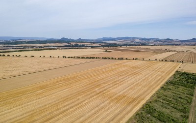 Po delší době nás navštíví severák, avšak moc chladu s sebou nevezme