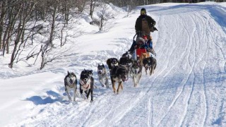 Ilustračn&iacute; foto: Pixabay / CC0