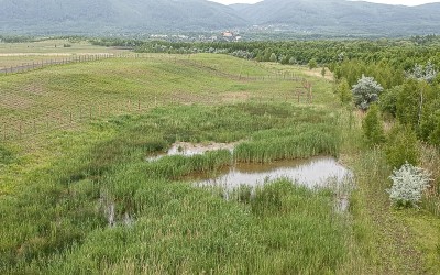 VIDEO: Takto vzniká nová krajina na okraji uhelného lomu. Podívejte se s námi k Hornímu Jiřetínu