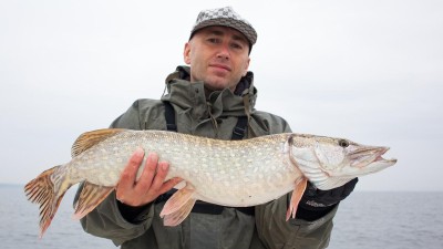 Rybáři mají poslední dva dny na lov štiky nebo sumce. Od 1.1. totiž opět začíná doba hájení dravců