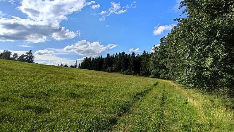 Čeká nás typické letní počasí. Foto: Oldřich Hájek