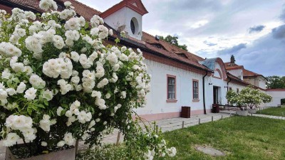 Kontrast tapisérií a ručního papíru poskytuje nevšední zážitek