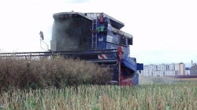 Spotřeba pesticidů v zemědělství loni klesla o 4,3 %