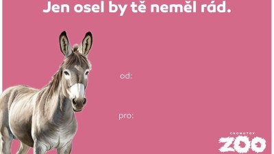 Sv&aacute;tek zamilovan&yacute;ch? Zapomeňte na nudu, letos let&iacute; zv&iacute;řec&iacute; slovn&iacute; hř&iacute;čky