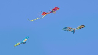 Foto: Laurencia Helásková