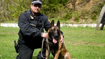 Dva psovodi pomáhají v týmu litvínovských strážníků. Jejich svěřenci jsou ve službě i devět let