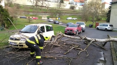 V silných poryvech větru v Žatci padaly stromy. Jeden zničil auto