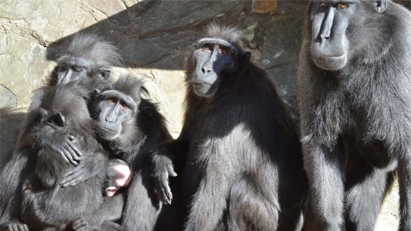 Foto: Zoo Děčín