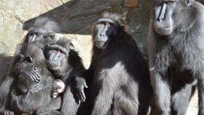 Foto: Zoo Děčín
