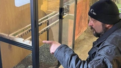 Zoo Děč&iacute;n přich&aacute;z&iacute; s novinkou! Zahajuje chov exotick&yacute;ch mot&yacute;lů, n&aacute;v&scaron;těvn&iacute;ci uvid&iacute; l&iacute;hnut&iacute; na vlastn&iacute; oči