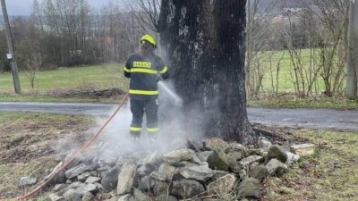 Nepochopitelné! Dvouset letý strom opět někdo zapálil. Hasiči k němu vyjížděli ráno znovu