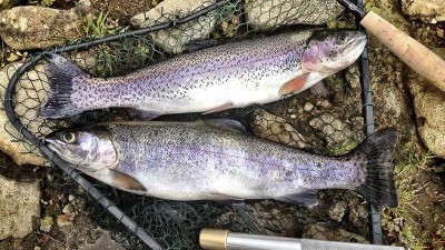 Na Ohři pod Nechranicemi začíná rybářská sezona na pstruhové vodě, méně vody ale nepoteče