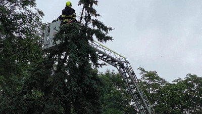 V některých okresech vítr zeslabuje, přesto hasiči v kraji stále odstraňují následky vichřice